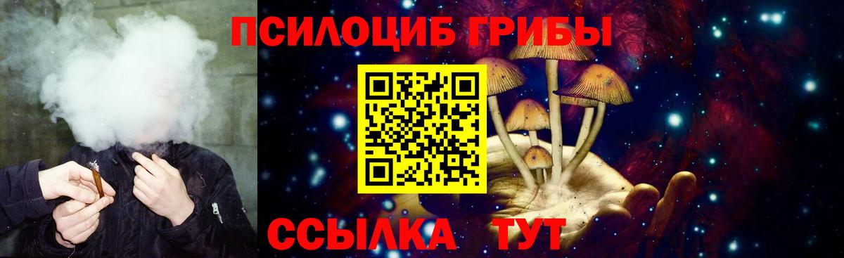 Псилоцибиновые грибы мухоморы  Вход с VPN  Новороссийск  Псилоцибиновые грибы прущие грибы 